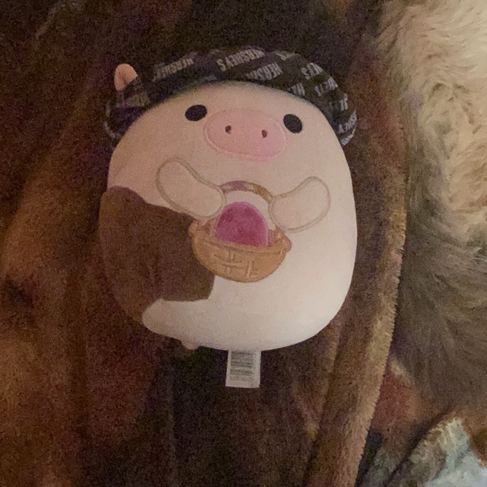 Easter season Squishmellow (also Hershey) Not used